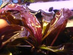 DSC01286.JPG