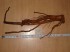 DSC03576.JPG