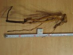 DSC03579.JPG