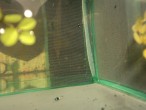 DSC04433.jpg