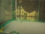 DSC04434.jpg