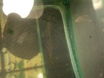 DSC04435.jpg