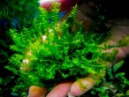 DSCF2227.jpg
