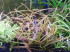DSCF9794.JPG