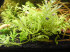 DSCF9795.JPG