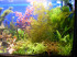 DSCF9798.JPG