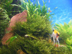 DSCF9799.JPG