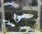 DSCN2180_cr.jpg