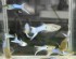 DSCN2180_cr.jpg