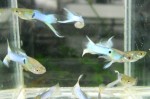 DSCN2188_cr.jpg