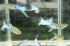 DSCN2188_cr.jpg