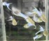 DSCN2191.jpg