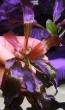 DSCN2200.jpg