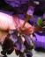 DSCN2202.jpg