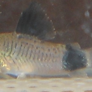 DSCN2202.jpg