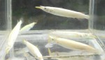 DSCN2205.jpg