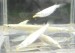 DSCN2206.jpg