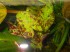 DSCN2243.jpg