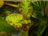 DSCN2249.jpg