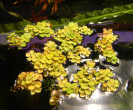 DSCN3777.JPG