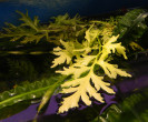DSCN3778.JPG