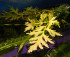 DSCN3778.JPG