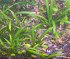 DSCN3779.JPG