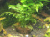 DSCN3819.JPG
