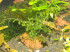 DSCN3821.JPG
