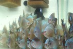 IMG_1471.JPG