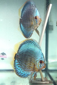 IMG_1486.JPG