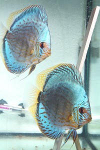 IMG_1491.JPG