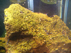 copy_123_IMG_20141208_133623.jpg