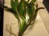 copy_158_0331.jpg