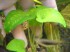copy_178_copy_379_copy_97_DSC00987.jpg