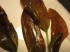 copy_283_0252.jpg