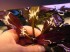 copy_350_DSC01285.jpg