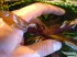 copy_399_DSC01186.jpg