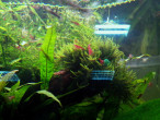 copy_419_IMG_20141210_173344.jpg