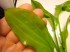copy_464_0221.jpg