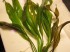 copy_517_030.jpg
