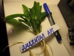 copy_704_0053.jpg