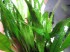 copy_709_067.jpg