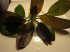 copy_712_copy_219_0081.jpg
