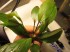 copy_750_023.jpg