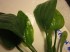 copy_769_0083.jpg