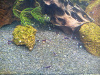 copy_802_IMG_20141208_133613.jpg