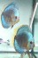copy_87_IMG_1491.jpg