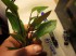 copy_907_022.jpg