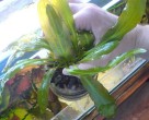 copy_920_DSC01287.jpg